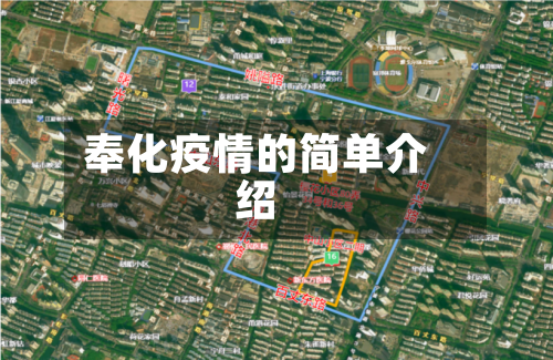奉化疫情的简单介绍