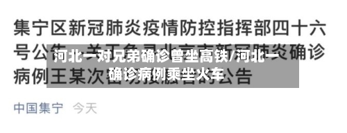 河北一对兄弟确诊曾坐高铁/河北一确诊病例乘坐火车-第2张图片
