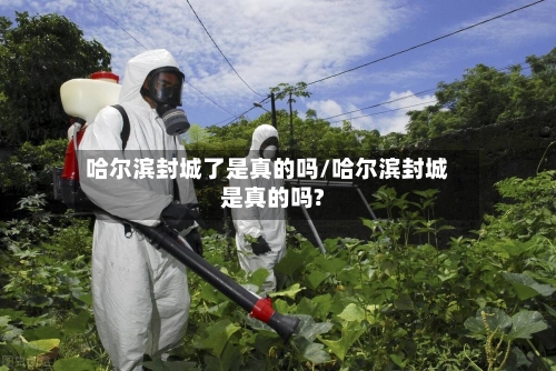 哈尔滨封城了是真的吗/哈尔滨封城是真的吗?