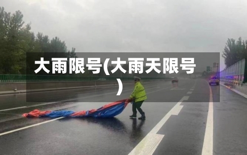 大雨限号(大雨天限号)
