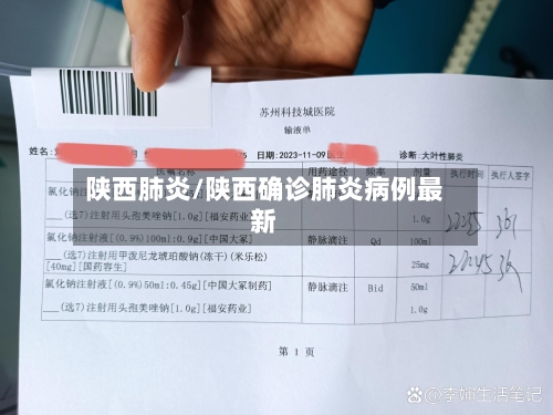 陕西肺炎/陕西确诊肺炎病例最新-第3张图片