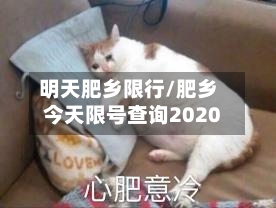 明天肥乡限行/肥乡今天限号查询2020-第2张图片