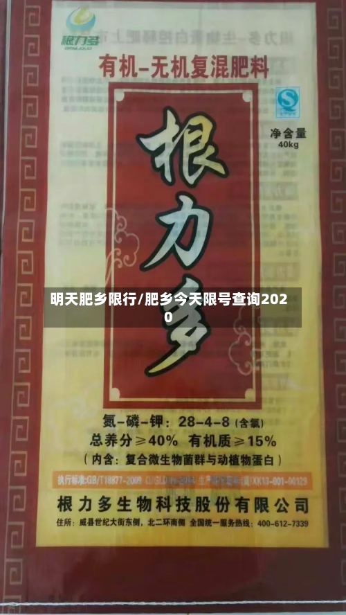 明天肥乡限行/肥乡今天限号查询2020-第3张图片