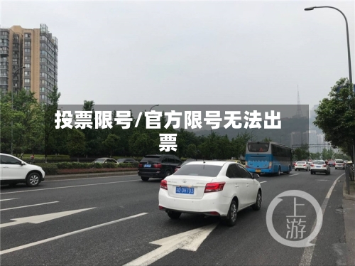 投票限号/官方限号无法出票