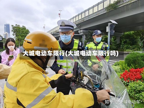 大城电动车限行(大城电动车限行吗)