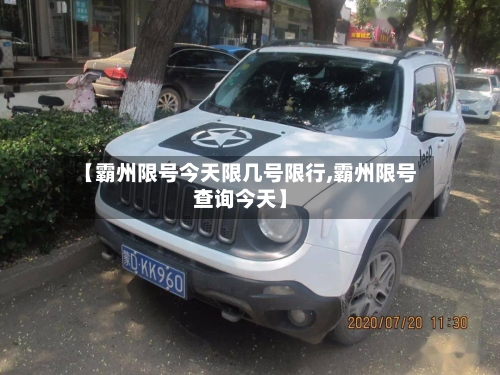 【霸州限号今天限几号限行,霸州限号查询今天】-第3张图片