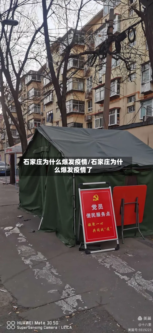 石家庄为什么爆发疫情/石家庄为什么爆发疫情了