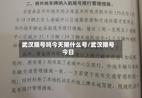 武汉限号吗今天限什么号/武汉限号今日-第2张图片