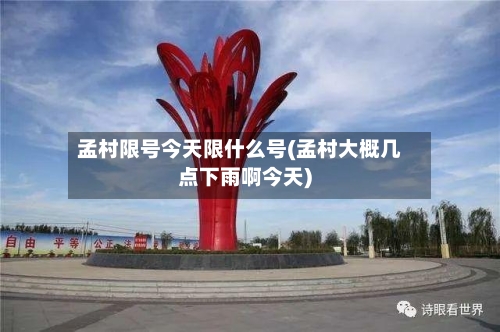 孟村限号今天限什么号(孟村大概几点下雨啊今天)-第3张图片