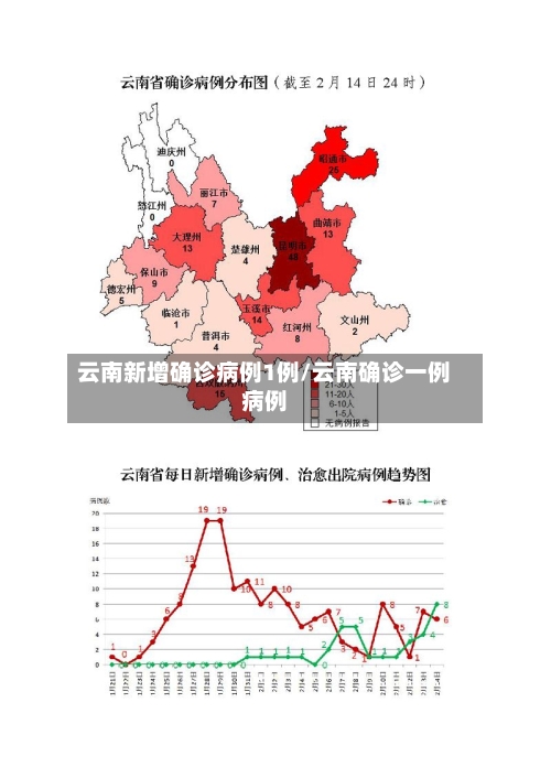 云南新增确诊病例1例/云南确诊一例病例-第3张图片