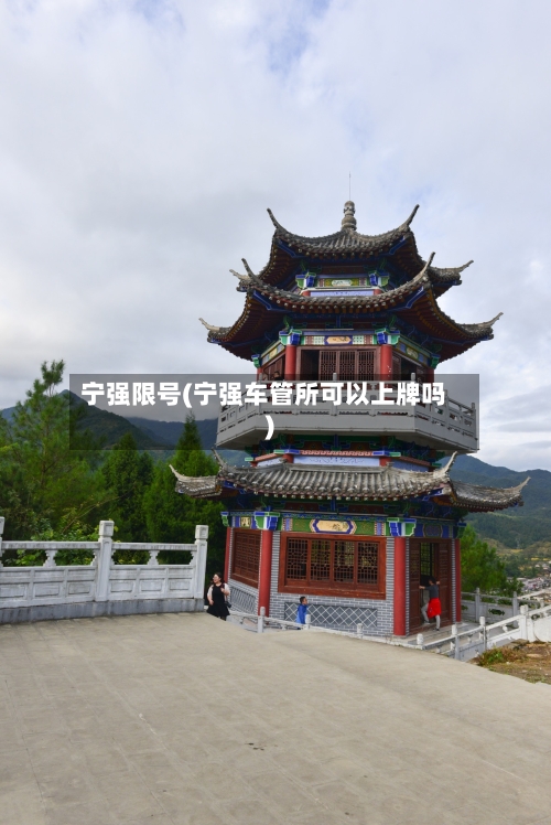 宁强限号(宁强车管所可以上牌吗)