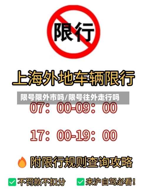 限号限外市吗/限号往外走行吗
