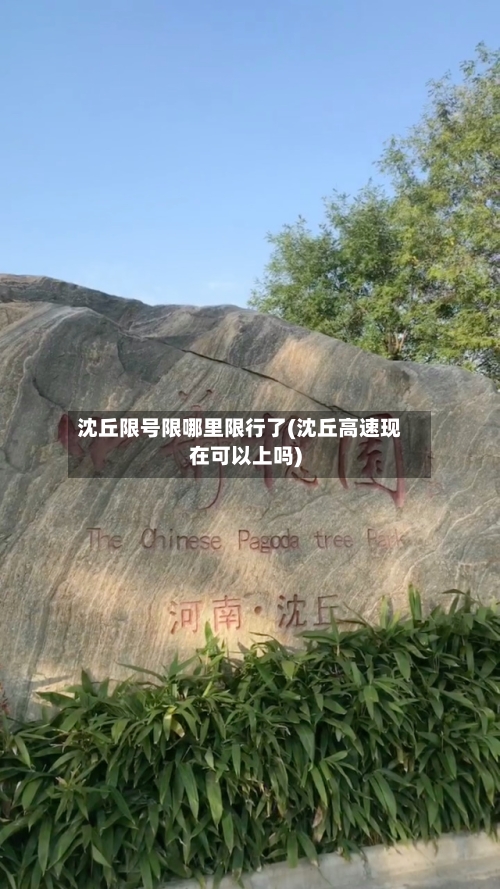 沈丘限号限哪里限行了(沈丘高速现在可以上吗)
