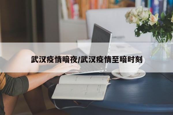 武汉疫情暗夜/武汉疫情至暗时刻