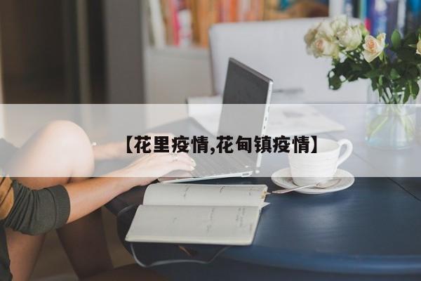 【花里疫情,花甸镇疫情】
